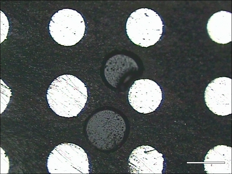 Adhesive/Coatings