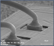 SEM/EDX Analysis