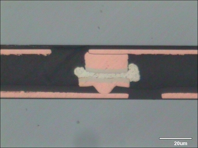 Sample Preparation