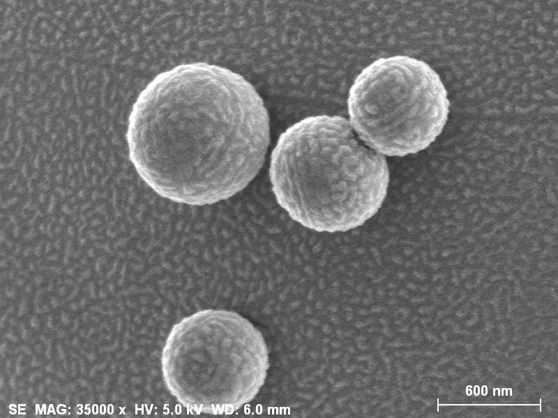 Raw Materials & Metallurgy